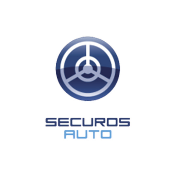 Licencia LPR SecurOS AUTO por Cámara, para Baja Velocidad (hasta 40Km/h)