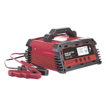 Cargador de Baterías / 12 o 24 Vcc / 25 A / Hasta 250 Ah / Display LCD / Entrada Universal AC 110-220 V