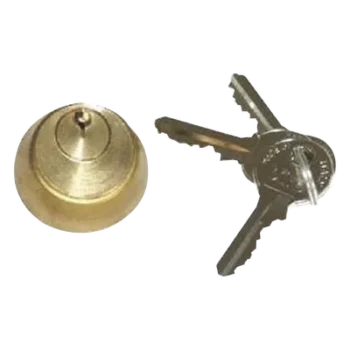 Cilindro interno para electrocerradura / Acero inoxidable / IP67 / 110V / 60W / 800 kg / 2-4 m (6.6-13.1 ft)