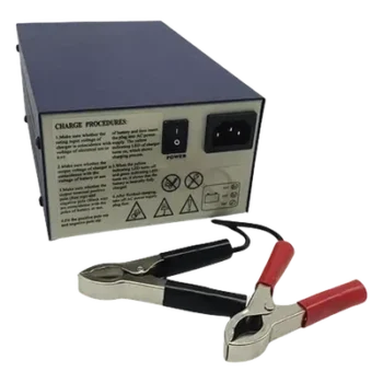 Cargador de Baterías SLA/VRLA / 12 V / 40 a 120 Ah / Entrada Universal 100-240 V AC / Tecnología Switching Sin Transformador / Carga Rápida con Flotación Automática