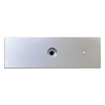 Refacción: Placa para chapa magnética MAG1200, MAG1200LED , No incluye tornilleria