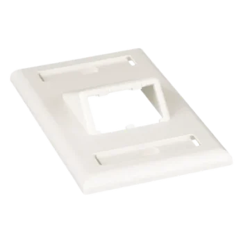 Placa de Pared Vertical / 2 Puertos Mini-Com Inclinados / ABS / Blanco Mate / Con Etiquetas