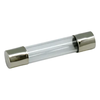 Fusible 10 Amp, 250 V Tipo Americano.