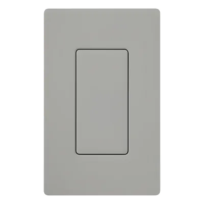 Inserto Ciego para Placa Decorador / Acabado Brillante Gris / Plástico 0.3 in (7.6 mm) / 2 5/8 in (66.7 mm) x 1 5/16 in (33.3 mm)