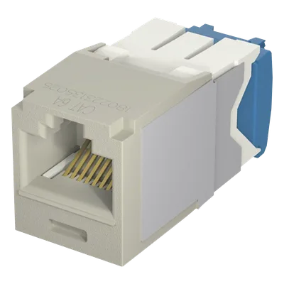 Conector Jack RJ45 / Categoría 6A / 8 Posiciones 8 Cables / Terminación TG / PoE 100W / Color Gris