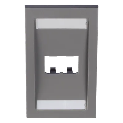 Placa de Pared Vertical / 2 Puertos Mini-Com / Espacios para Etiquetas / 2.75 x 4.5 in / Gris