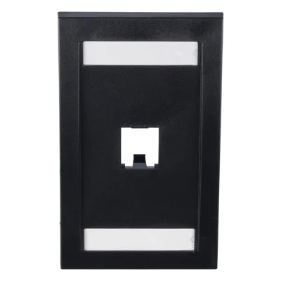 Placa de Pared Vertical / 1 Puerto Mini-Com / Espacio para Etiquetas / ABS Negro