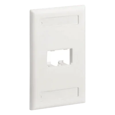 Placa de Pared Vertical / 2 Puertos Mini-Com / Diseño Inclinado / Con Espacios para Etiquetas / 2.75 x 4.5 pulgadas / Blanco