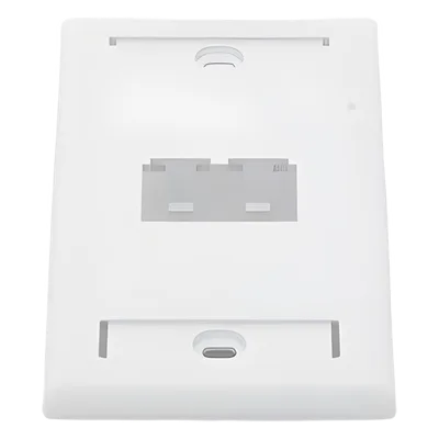 Placa de Pared Vertical / 2 Puertos Mini-Com / Diseño Inclinado / Con Espacios para Etiquetas / 2.75 x 4.5 pulgadas / Blanco