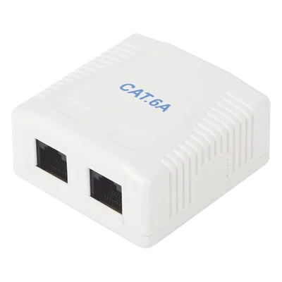 Caja de Pared / 2 Puertos RJ45 / Cat6A UTP / T568A-B / ABS Retardante de Llama