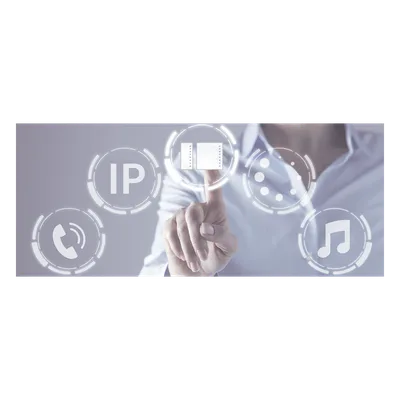 Software de Gestión IP / Supervisión Periódica / Detección Automática / Control Multi-Dispositivo / Interfaz Centralizada