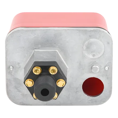 Interruptor de Supervisión de Presión de Agua / 10-100 PSI / NEMA 4 / Doble SPDT / 130x84x108 mm / -40°F a 160°F
