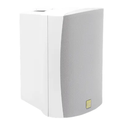 Altavoz de Montaje en Superficie / 2 Vías / 70V/100V / Woofer 6.5 in / IP66 / Soporte 120°