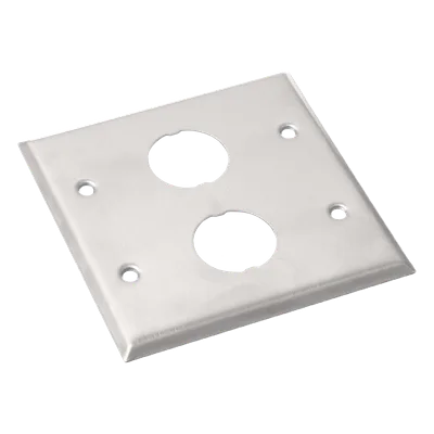Placa de Pared Doble Industrial / 2 Puertos / Acero Inoxidable / 4.59x4.5x0.16 in / Montaje Vertical
