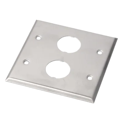Placa de Pared Doble Industrial / 2 Puertos / Acero Inoxidable / 4.59x4.5x0.16 in / Montaje Vertical