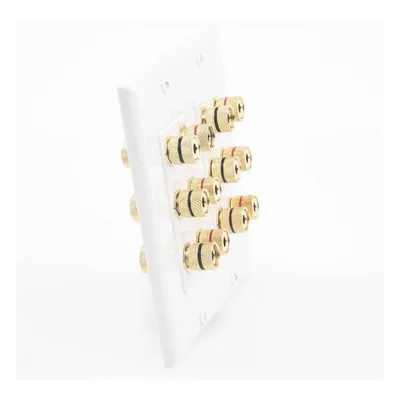 Placa de Pared para Altavoces / 12 Postes Tipo Banana / 6 Canales / Conectores Chapados en Oro / Instalación sin Soldadura