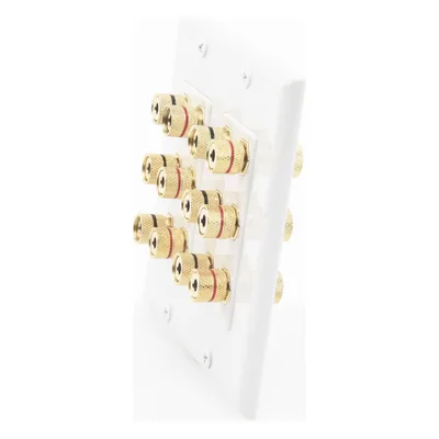 Placa de Pared para Altavoces / 12 Postes Tipo Banana / 6 Canales / Conectores Chapados en Oro / Instalación sin Soldadura