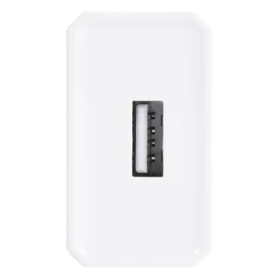 Cargador Micro-USB Profesional / 5 VCC / 1 A / Entrada 100-240 VCA / 1.94 x 1.67 x 0.96 in