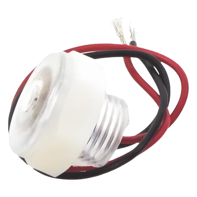 Luz LED Marina de Cortesía / 45 Lúmenes / IP67 / 10-16 VDC / Policarbonato / Interior y Exterior