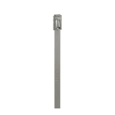 Brida de Acero Inoxidable / 201mm (7.9") largo / 4.6mm ancho / Tipo 304 / Paquete 100 pz