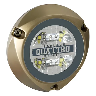 Luz LED Marina Sumergible / 2000 Lúmenes / Blanco y Azul / IP68 / Bronce Naval / 10-24 VCD