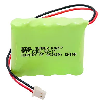 Batería de Respaldo NiMH / 6V / 700 mAh / Conector 2 Pines / Hasta 6 Horas de Autonomía