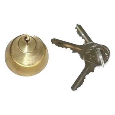 Cilindro interno para electrocerradura / Acero inoxidable / IP67 / 110V / 60W / 800 kg / 2-4 m (6.6-13.1 ft)