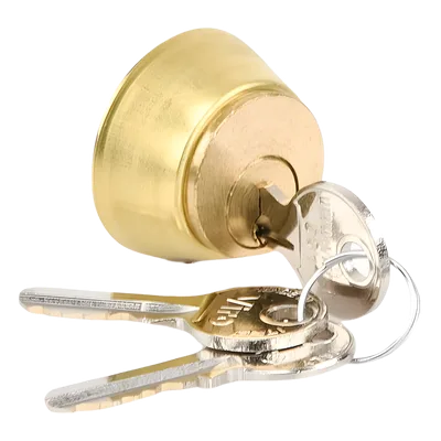 Cilindro interno para electrocerradura / Acero inoxidable / IP67 / 110V / 60W / 800 kg / 2-4 m (6.6-13.1 ft)