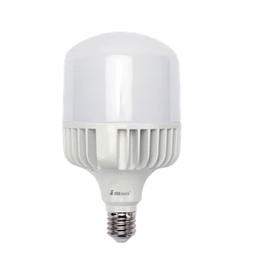 Foco LED para Alumbrado en Interior / Luz Fría / 100 W / 10000 lúmenes / 50000 hrs / Ángulo de Iluminación 240°