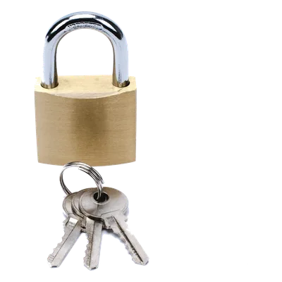 Candado de Seguridad / Cuerpo Latón 40 x 40 mm / Perno Doble Sujeción / Argolla 6.2 mm / 3 Llaves / 560 gr