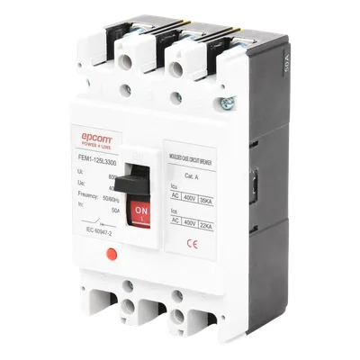 Protector Térmico Trifásico / 50 A / 690 V CA / Capacidad de Ruptura 125 A / Conductores 50 mm / -5°C a +40°C