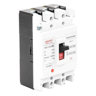 Protector Térmico Trifásico / 50 A / 690 V CA / Capacidad de Ruptura 125 A / Conductores 50 mm / -5°C a +40°C