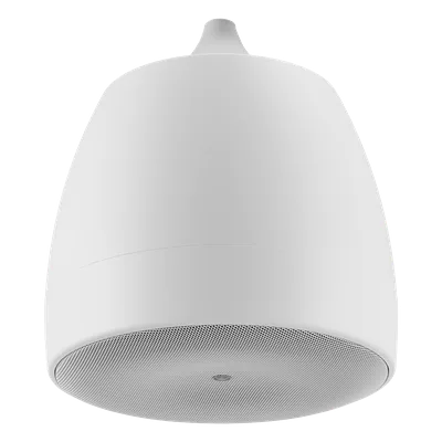 Altavoz Colgante / 6.5 in (16.5 cm) / 2 Vías / 300W / 8Ω / 70V/100V / 120° Dispersión / Blanco