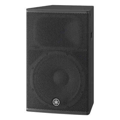 Altavoz Amplificado / 15 pulgadas / 1000W / Bi-Amplificado Clase-D / Madera Contrachapada / 44 Hz - 20 kHz