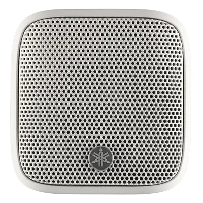 Altavoz de Montaje en Superficie / Rango Completo 1.5 Pulgadas / Dispersión 170° / Música de Fondo Comercial / Diseño Compacto