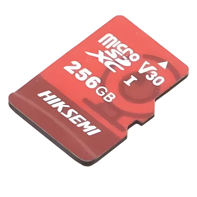 Memoria MicroSD / 256 GB / Lectura 95 MB/s / Escritura 55 MB/s / Clase 10 U3 / Grabación 24/7 / TLC NAND
