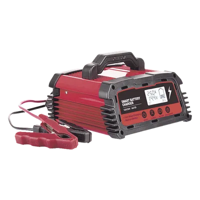 Cargador de Baterías / 12 o 24 Vcc / 25 A / Hasta 250 Ah / Display LCD / Entrada Universal AC 110-220 V