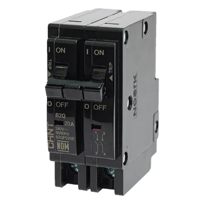 Interruptor Termomagnético Enchufable / 2 Polos / 60A / 240 VCA / Capacidad Interruptiva 10 kA / Rango -30 a 70 °C
