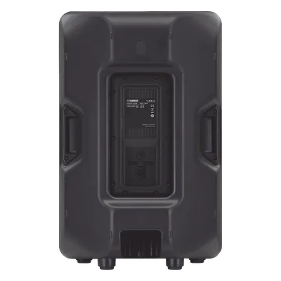 Altavoz de Montaje en Superficie / 2 Vías / Woofer 15'' / 500W Program / 8Ω / 46Hz-20kHz / 96dB