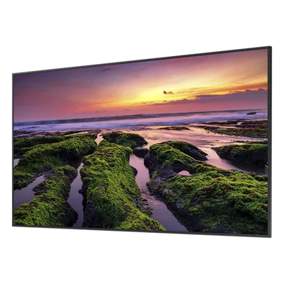 Pantalla LED Profesional / 65 Pulgadas / UHD 4K 3840x2160 / Operación 16/7 / Wi-Fi Dual Band / Bocinas 10 W / VESA 400x300 mm