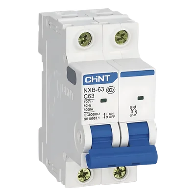 Interruptor Termomagnético / 2 Polos / 40 A / 10 kA / Riel DIN / 110-415 Vca / -40 °C a 70 °C