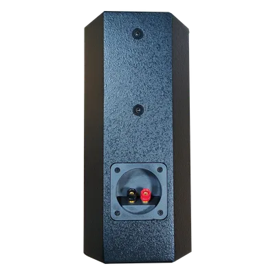 Altavoz Profesional / 2 Vías 6.5" + 3" / 100W RMS 400W Pico / Respuesta 90Hz-20kHz / Cobertura 110°×80° / MDF Reforzado / Montaje Multipunto