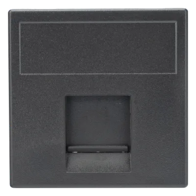 Módulo de Placa / 1 Espacio Keystone RJ45 / Guardapolvo Integrado / Acabado Grafito RAL 7021 / 45 × 45 mm / Compatible Cajas Teleblock y Ofiblock