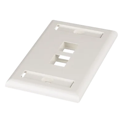 Placa de Pared Vertical / 2 Puertos Keystone / Espacios para Etiquetas / Blanco Mate / 2.75 x 4.5 pulg.
