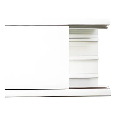 Canaleta con tapa / PVC autoextinguible / 100 x 52 mm / 2.5 m (8.2 ft) / NOM-001-SEDE-2005