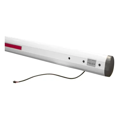 Mástil Iluminación LED / 3 m (9.8 ft) / Rojo/Verde / 12 VDC / 1.5 A / IP65 / Compatible Barreras XBF/XB6000