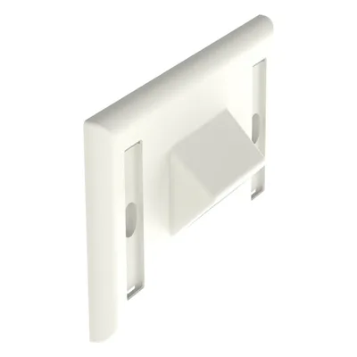 Placa de Pared Horizontal / 2 Puertos Keystone / Blanco Mate / 2.75 x 4.5 pulg.
