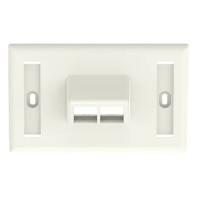 Placa de Pared Horizontal / 2 Puertos Keystone / Blanco Mate / 2.75 x 4.5 pulg.