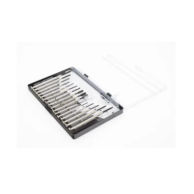 Juego de Desarmadores de Precisión / 16 Piezas / Métrico 1.0 a 5.0 mm / Estuche Rígido / Tipo Joyero-Relojero
