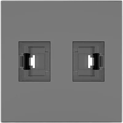 Módulo Pasivo TBUS / 2 Puertos RJ45 Passthrough / Entrada y Salida 2 Hembras / Color Negro Grafito RAL 9011